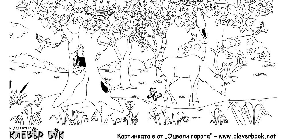 Оцвети гората (част 2) - За разпечатване!